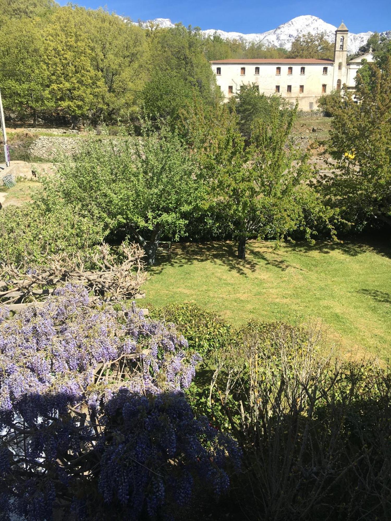 Hotel Casa Meridiana Calacuccia Pokój zdjęcie