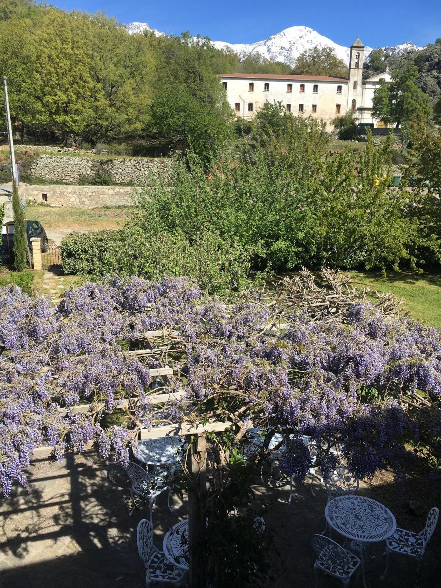 Hotel Casa Meridiana Calacuccia Pokój zdjęcie